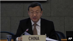 中国商务部副部长王受文在世贸组织会上发言 （2018年7月11日）