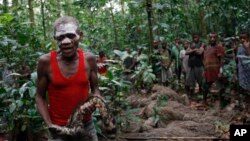 En avant-plan, Njikali conduit une cérémonie marquant le passage d'un camp de chasse à un autre sur les terrains de chasse traditionnels de sa famille dans la Réserve de faune à okapis près de la ville d'Epulu, RD Congo. 