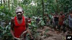 Njikali, pygmée, conduit une cérémonie marquant le passage d'un camp de chasse à un autre dans les terrains de chasse traditionnels de sa famille à l'intérieur de la Réserve de faune à okapis cérémonie, à l'extérieur la ville de Epulu, RD Congo. 