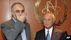 Director General of the International Atomic Energy Agency [IAEA] Yukiya Amano (R) from Japan, welcomes Iranian Foreign Minister Ali Akbar Salehi (L) prior to their talks at the International Center in Vienna, Austria, July 12, 2011 (file photo)