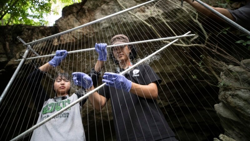 Scientists: Expand COVID Beginnings Search to Southeast Asia