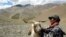 An Indian nomad inspects his Pashmina goat at Taglang La in the Ladakh region of Jammu and Kashmir.