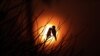 Birds are pictured as the sun rises amid smoke from a burning tract of Amazon jungle as it is cleared by loggers and farmers near Porto Velho, Brazil August 28, 2019.