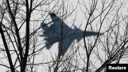 FILE - A jet fighter from the Su-30 SM "Sokoly Rossii" [Falcons of Russia] aerobatic team performs during a show in Krasnoyarsk, Siberia, Oct. 25, 2014.