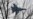 Pentagon: Russian Military Flights in Europe Unhelpful to Security