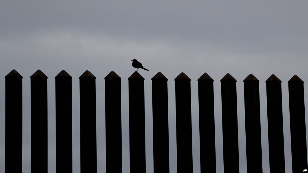 El juez Keno Vásquez emitió una prohibición temporal el martes en Texas contra el grupo "We Build the Wall" (Nosotros construimos el muro), que llegó a recaudar 25 millones de dólares para erigir una valla privada. 