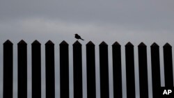 El juez Keno Vásquez emitió una prohibición temporal el martes en Texas contra el grupo "We Build the Wall" (Nosotros construimos el muro), que llegó a recaudar 25 millones de dólares para erigir una valla privada. 