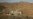 Oman's Mountains May Hold Clues for Reversing Climate Change