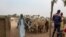 FILE - A man is seen with his herd at a cattle market in Maroua, Cameroo, March 2, 2020. 