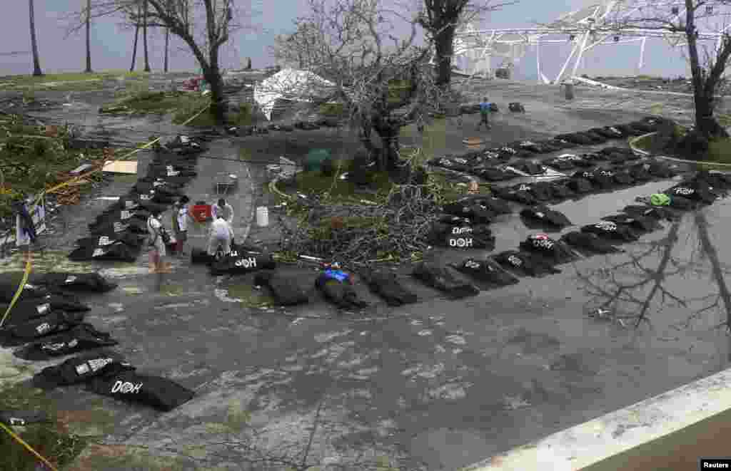 Túi đựng thi thể nạn nhân ở thành phố Tacloban, nơi bị bão Haiyan tàn phá, ở miền trung Philippines.