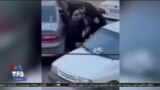 اخبار شبانگاهی
