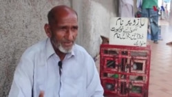 کراچی: قسمت کا حال، بابا رمضان کی طوطا فال 20 روپے میں