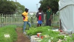 Des sans-abri sud-africains lancent une coopérative agricole à Durban