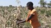 Zimbabwe : les fermiers noirs bénéficiaires de la réforme agraire vont payer des impôts