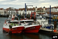 Kapal-kapal nelayan tertambat di pelabuhan di tengah pelarangan penangkapan ikan di Saint-Jean-de-Luz, Prancis, 22 Januari 2024. (Foto: Gaizka Iroz/AFP)