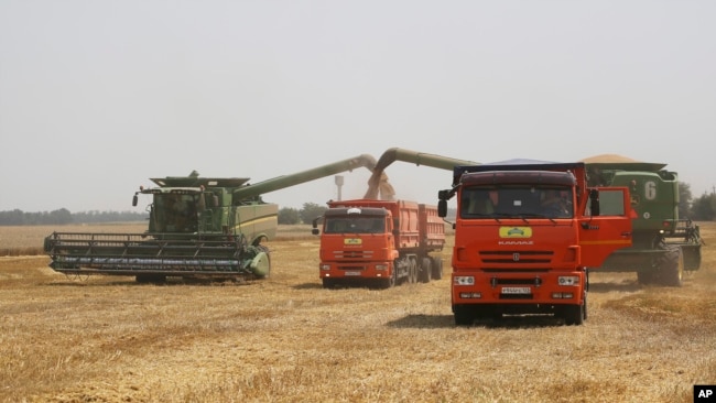 Farmers harvest with their combines in a wheat field near the village Tbilisskaya, Russia, July 21, 2021.