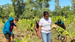 Lissethe Escalante, productora agrícola de Nicaragua, se ha dedicado en los 17 últimos años a esta labor, que tradicionalmente ha sido un oficio para hombres.