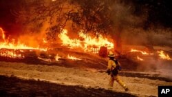 Seorang petugas berusaha memadamkan ebakaran hutan di Calistoga, negara bagian California. 