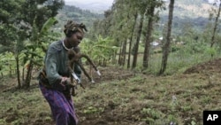 A woman works on a farm in this file photo from near the Tanzanian town of Arusha. Fewer than 10 percent of Tanzanians hold an official title to their land.