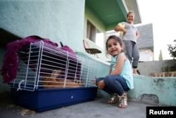 Three-year-old Kendra Nicole Rojas plays with pet bunnies at her uncle's home where she and her mother Karla Rojas, 26, right, used to live but moved out after lead paint was found in the home in the Historic South Central neighborhood of Los Angeles, California, April 5, 2017.