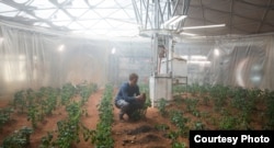 Scene from "The Martian" (Courtesy: 20th Century Fox)
