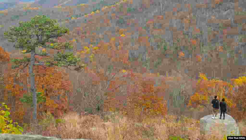 Shenandoah National Park 