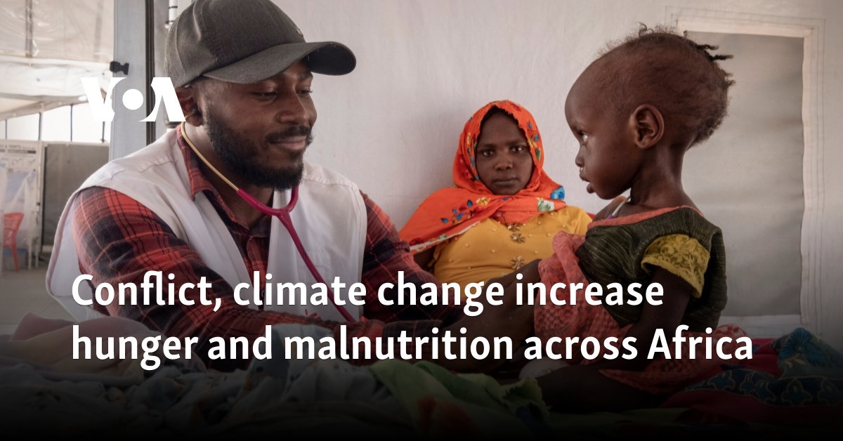 Conflict, climate change increase hunger and malnutrition across Africa