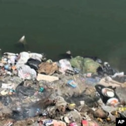 Polluted Nile River