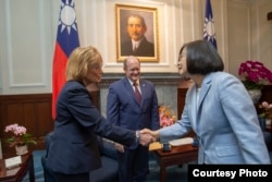 차이잉원 타이완 총통이 지난달 29일 타이완을 방문한 미국 하원 민주당 대표단을 면담했다.