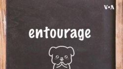 学个词 -entourage