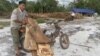 A villager is seen here tying timber to his motorcycle for trading with the logging company as two UN investigator are looking around in the compound of the logging company, April 27, 2012. 