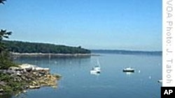 Fish Populations Making Comeback in Maine's Frenchman Bay