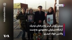 بستن روبان‌ قرمز به درختان نزدیک آرامگاه سیاوش محمودی به دست والدین جواد حیدری