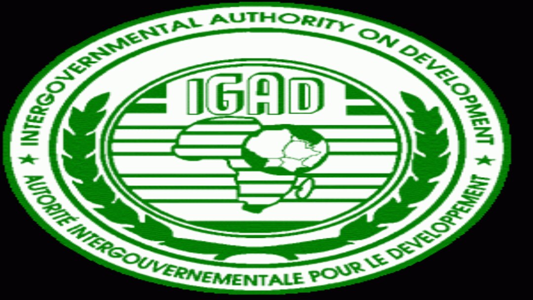 IGAD LOGO