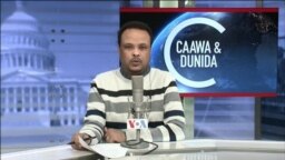 Caawa iyo Dunida