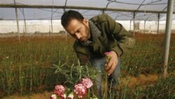 اسراييل محدوديتهای صادراتی غزه را کاهش می دهد