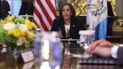 La vicepresidenta Harris planea viajar a Guatemala en junio