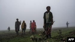 TOPSHOT - Children stand amidst fog on the site of a future camp for Eritrean refugees, in a rural area near the village of Dabat, 70 kilometres northeast from the city of Gondar, Ethiopia, on July 13, 2021. (Photo by EDUARDO SOTERAS / AFP)