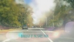 بي بي شیرینه – وي او اې ډيوه په ټیلې ویژن