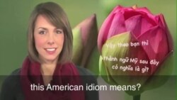 Thành ngữ tiếng Anh thông dụng: Nip it in the Bud (VOA)