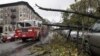 A fire truck passes a tree that has fallen across parked cars in Brooklyn, New York the morning after superstorm Sandy struck, Oct. 30, 2012.