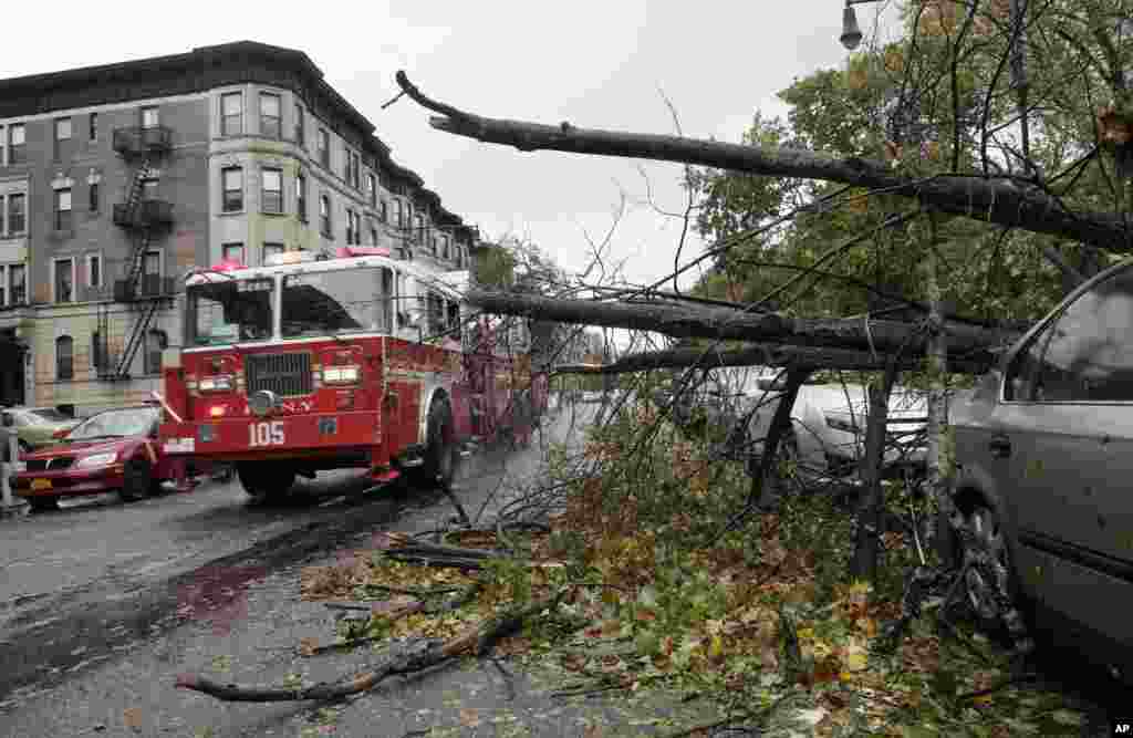 2012年10月30日，桑迪飓风过后的早晨，一辆消防车从一颗倒塌的大树旁经过。这颗大树砸在停靠在街边的轿车顶上。