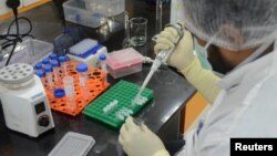Một nhà khoa học đang làm việc trong phòng thí nghiệm điều chế vaccine ngừa COVID-19 ở Ấn Độ.