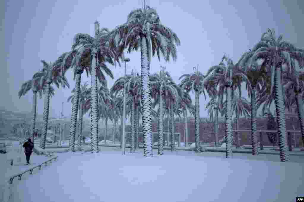 A man walks near palm trees as snow falls in Jerusalem&#39;s old city.