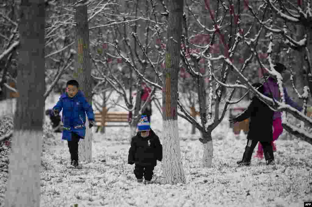 برف باری کے بعد کئی پارکوں میں خاندان خوبصورتی کا لطف لینے آئے۔