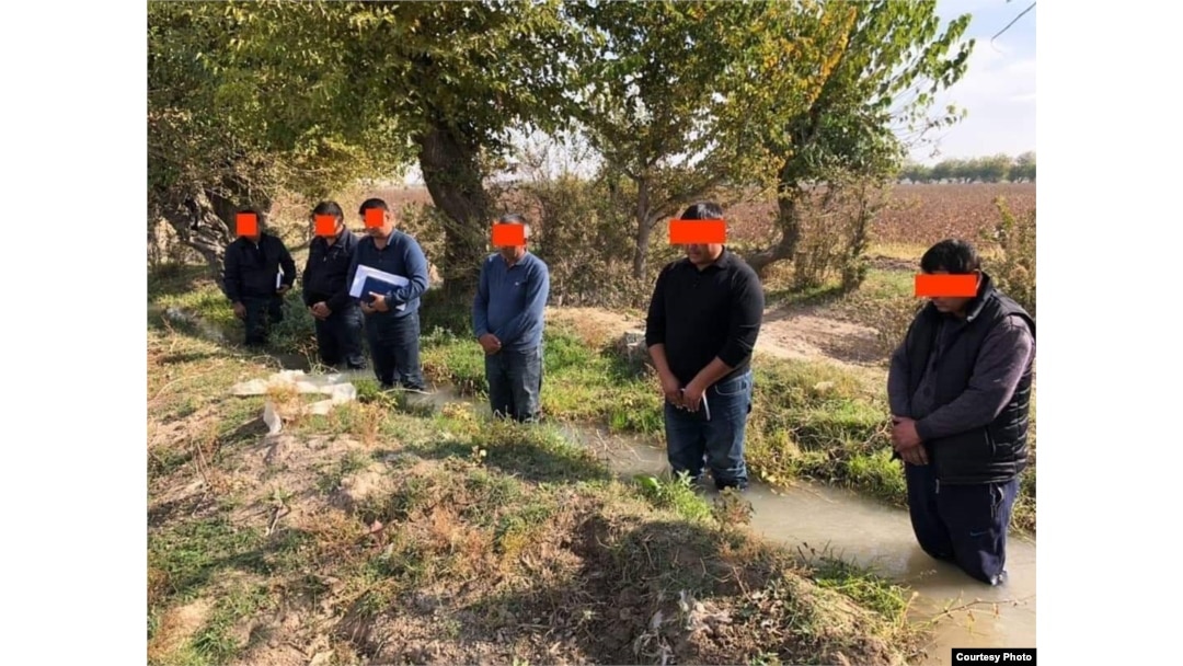 Toshkent viloyati Oqqo'rg'on tumanida qayd etilgan holat