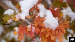 Zima u Koloradu, 28. oktobar, 2023. (Foto: AP/David Zalubowski)