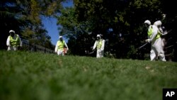 Argentina ha resportado cinco casos de Zika hasta ahora, todos de pacientes que habían regresado recientemente del extranjero.