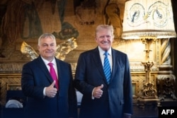 Orban (Kiri) berpose dengan mantan presiden AS Donald Trump di perkebunan Trump di Mar-a-Lago di Palm Beach, Florida. (Foto: X Akun @PM_ViktorOrban/AFP)