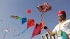 International Kite Festival di Ahmadabad, India, Selasa, 11 Januari 2011. Kompetisi layang-layang tahunan India menimbulkan korban jiwa pada tahun ini karena para peserta menggunakan benang dengan lapisan khusus untuk memutuskan tali layang-layang lawan. (Foto: AP)